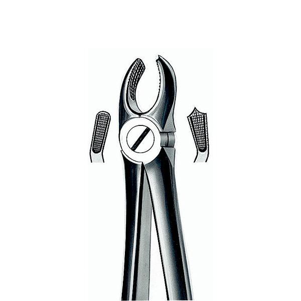 Tang 17K Carl Martin Barn Okj h/molar