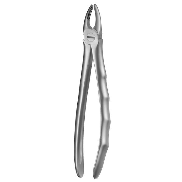 Tang LS 7 Carl Martin Premolar Okj