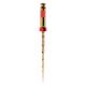 WaveOne Gold 31mm Primary Rød 025.07. 6stk