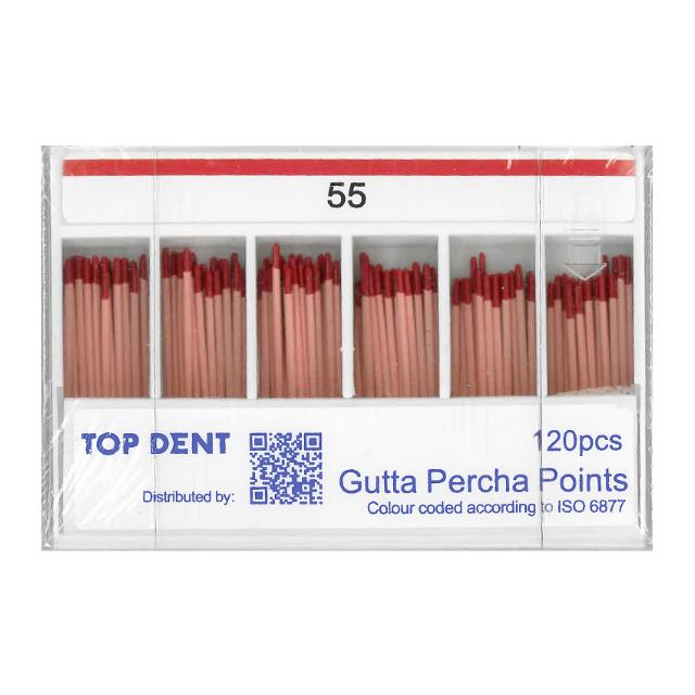 TD Gutta Percha ISO 55 120stk