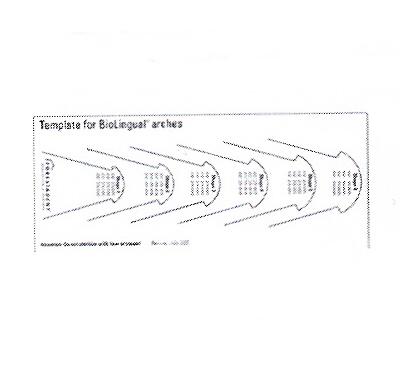 FO 435-0005 TEMPLATE FOR LINGUAL