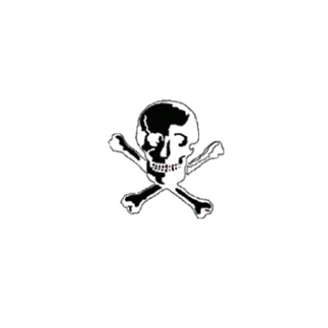 FO 407-0209 Happy Design Skull 20 stk