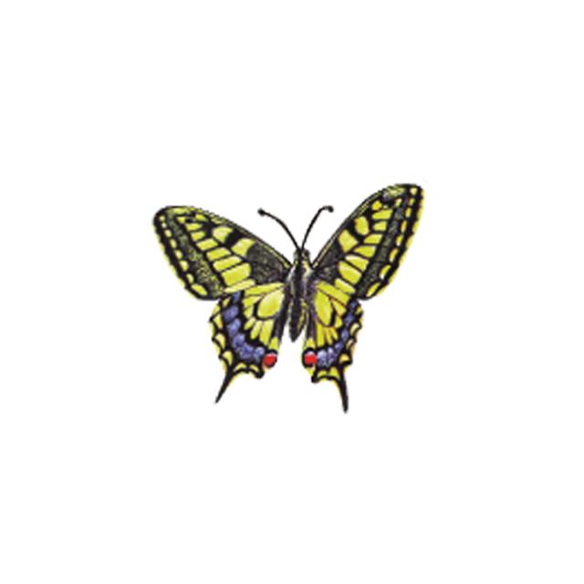 FO 407-0211 Happy Design Butterfly