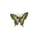 FO 407-0211 Happy Design Butterfly