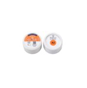 RE PPA2 Perfect A Smile Pontic Paint A2 4g