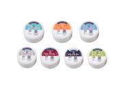 RE PPBL Perfect A Smile Pontic Paint Bleach 4g