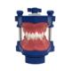 RM ECM0364 Typodont Wax+Teth Class l