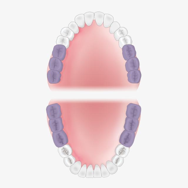 American Eagle XP2 Scaler M23 Blå