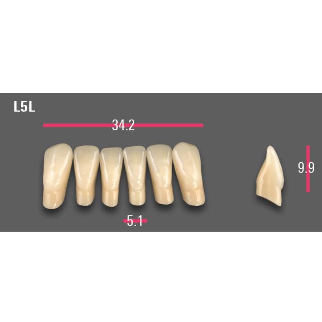 Vitapan Protesetenner UKJ Anterior A3 L5L